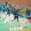 호림태권도체육관 이미지