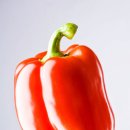 피망 이미지