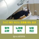 미르한의원 이미지