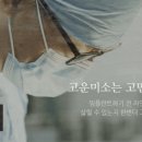 연세안심치과의원 이미지