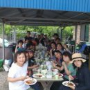 국제농장 이미지