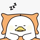 가야침구