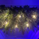 두꺼비로멘스 이미지