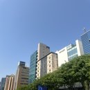 [압구정 탈모] 강남 웰킨두피탈모센터 신사점에서 남자 두피관리 제대로