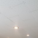 펫바스로 수지 이미지