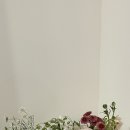 프롬마이시즌스