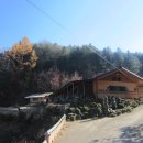 황금을따는마을 이미지