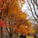 하단동171 이미지