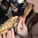 태영상사 | 11월과 12월의 일기, 겨울 이야기