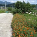 꽃향기펜션 이미지