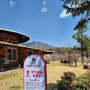 팔공산 애견동반 방갈로 명산한우식육식당 강아지산책까지 굿