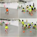 월드태권전문도장 이미지