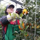 남원읍-123 이미지