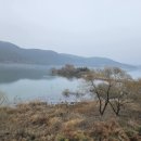 진양농장 이미지