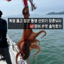 남해-228 | 🎣[통영선외기] 문어 낚시 도전! 장촌낚시에서 느낀 남해낚시 통영좌대낚시 거제도낚시 통영낚시 솔직후기