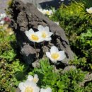 종만이농장 이미지