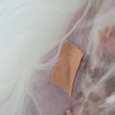 카라말티즈 이미지