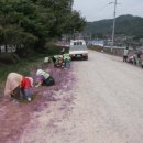 감천제방 이미지