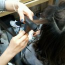 올리브헤어 이미지