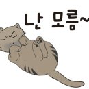 온정돈까스 이미지