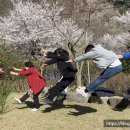 황토기와집펜션 이미지