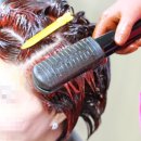 스파시스 이미지