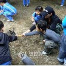 꽃사슴화원 이미지