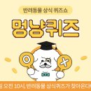 오늘의멍냥