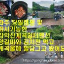 감악산계곡쉼터 티스토리