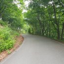 국립 운문산자연휴양림 연립동 너구리 1박 후기