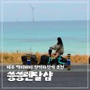 경춘선 자전거도로13 | 제주 액티비티 추천ㅣ월정리 바다 따라 달리는 쓩쓩렌탈샵 전기자전거 후기