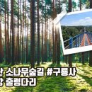 [제159차 정기산행] 치악산 소나무 숲길&구룡사 + 소금강 출렁다리 이미지