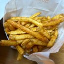 아지트 포 독 이미지