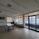 제주 돌고래 이미지