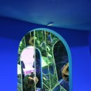 토속어류생태복원체험관 이미지