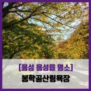 봉학골산림욕장 | [음성 음성읍 명소] 봉학골산림욕장 - #직접체험 음성 단풍구경 산림욕 등산 정원 솔직 리뷰 후기