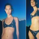 미즈하라 키코 카카오 검색결과