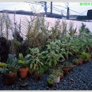 해바라기주유소 이미지