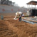 소나농장 이미지