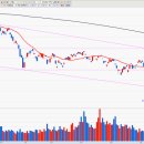 피티에스 이미지