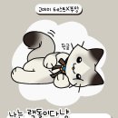 고야미 이미지