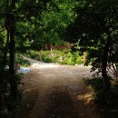 벌 민박 이미지