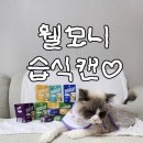 [리뷰]웰모니 고양이 습식 캔 약 일주일 급여 솔직 후기 (feat:기호성 음수량 대성공)