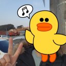 쌍마트랜스