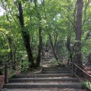 능선길 118 이미지