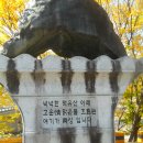 월성농산 이미지