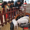 이광준농장 이미지