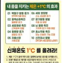 비고르바른건강+고주파 | 비고르바른건강 고주파