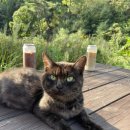 소월숲스테이 이미지