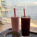 도그민 | 부산 광안리 애견카페 도그민 오션뷰 카페